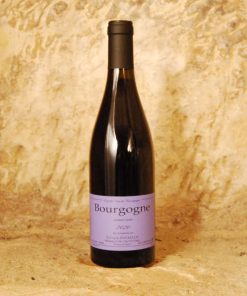 Bourgogne Rouge 2022 – Sylvain Pataille