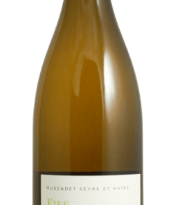 Alternative view of Domaine Le Fay d&rsquo;Homme / Caillé ß – Muscadet Sèvre et Maine Fief Seigneur 2023