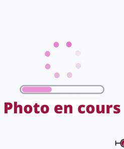 Marques Verre – Animaux, Ventouse ou Parapluie