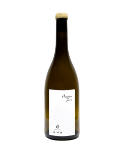 Alternative view of « Première Trace »