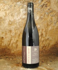 Alternative view of Saumur Champigny – Franc de Pied 2016 – Thierry Germain
