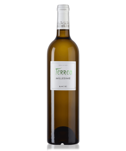 Alternative view of Terreo blanc sec