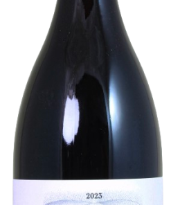 Alternative view of Cyprien Arlaud ß – Vosne-Romanée 2023