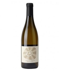 Alternative view of Saumur – Clos du Moulin 2015 – Thierry Germain
