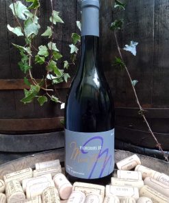 Syrah, vignerons Montfleury