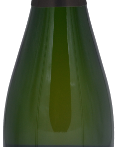 Champagne Piollot Come des Tallants